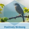 Positively Birdsong