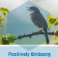 Positivity Birdsong