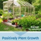 Positivity Plants